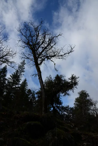 DSC_0901 (Large).JPG